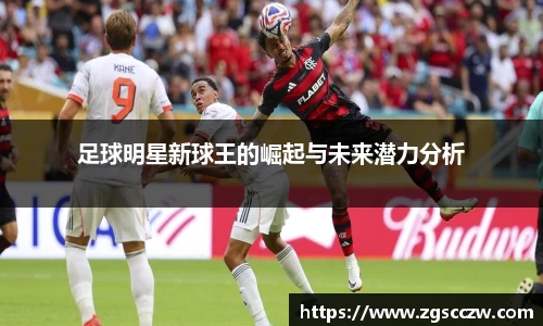 足球明星新球王的崛起与未来潜力分析